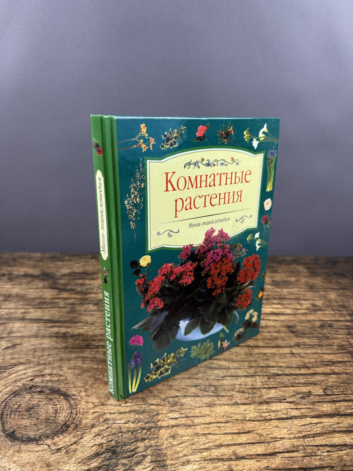 Комнатные растения