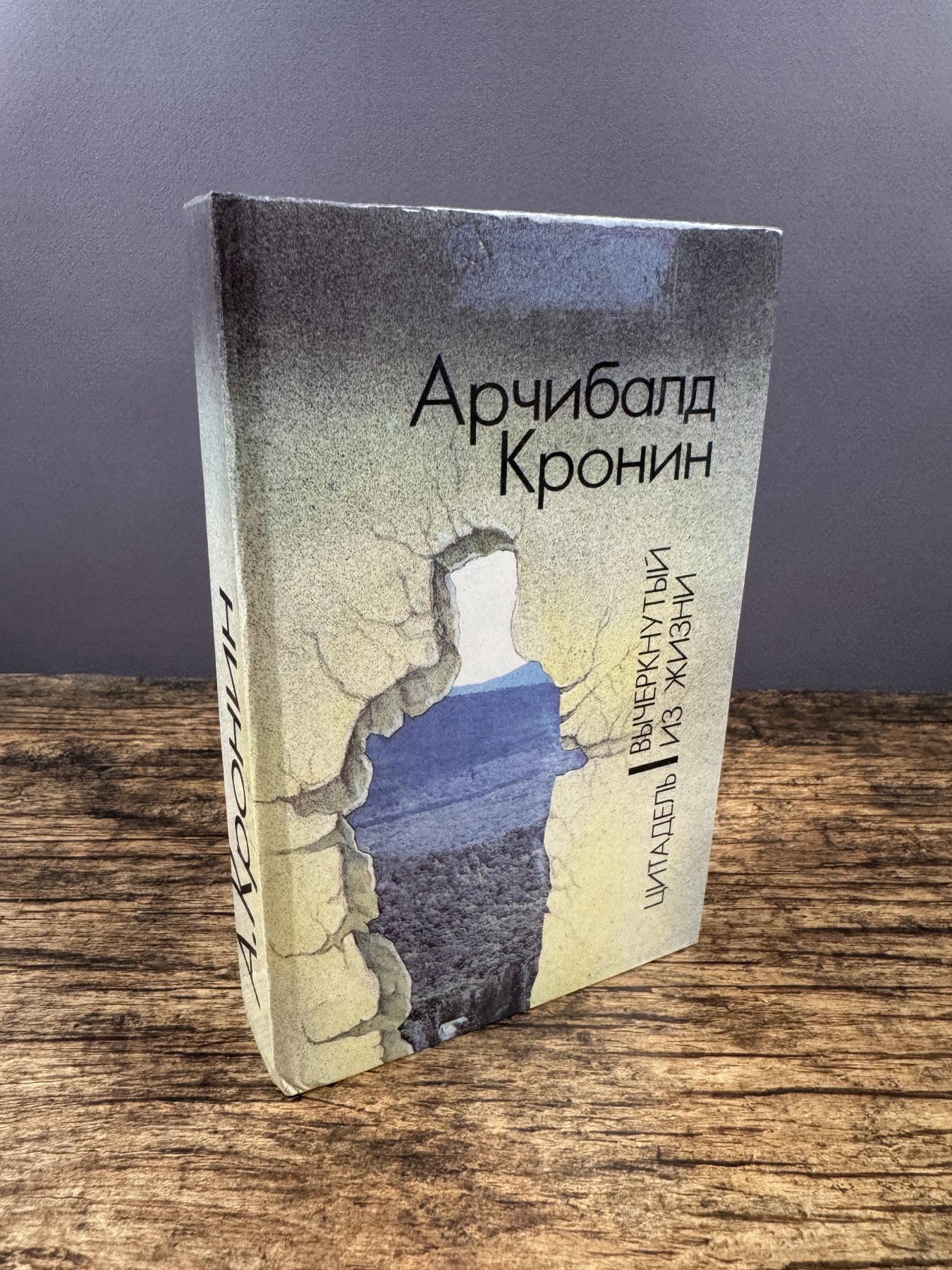 Цитадель. Вычеркнутый из жизни